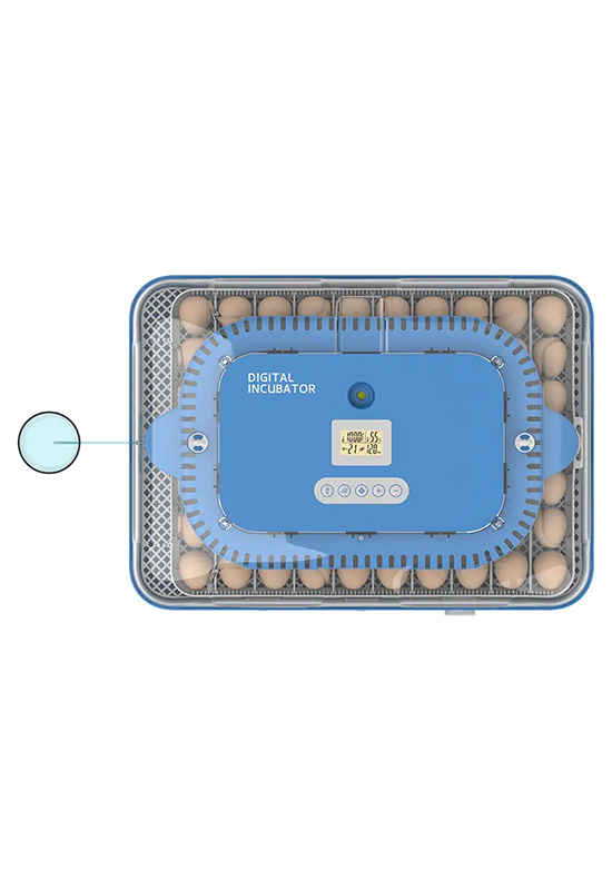  12V 220V Automatic Incubator For 70 Eggs