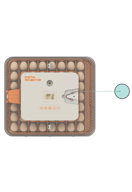  56H Egg Incubator Automatic Humidity Control