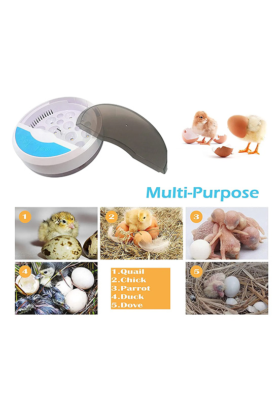 Commercial Farming Industrial Incubator Equipment