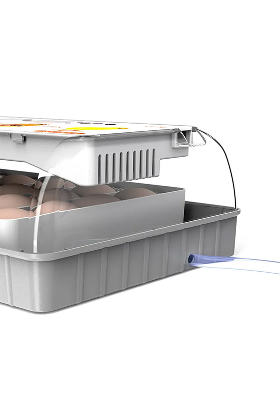 Dual Power Automatic Egg Incubator