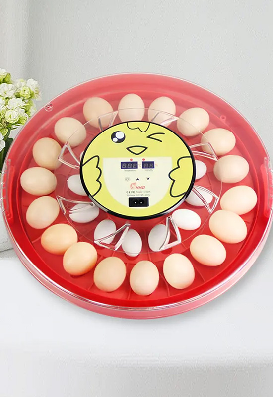 Egg Incubator smile 30/52 for home use hatcher