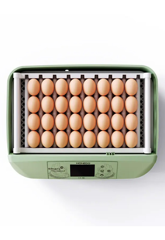 Automatic Hatch Equipment Geese Duck Emu Ostrich Parrot