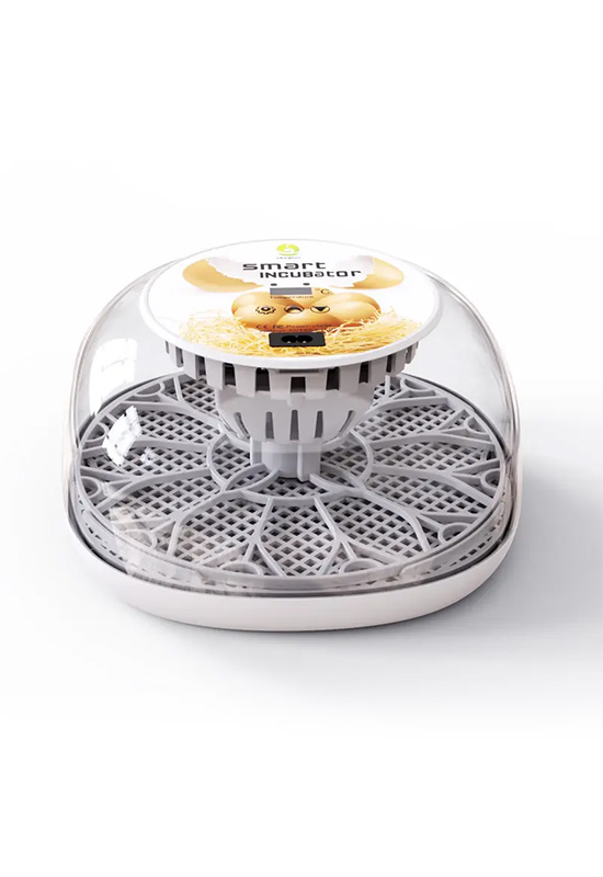 Manufacturers Supply Fully Automatic Control Chick Eggs Incubator