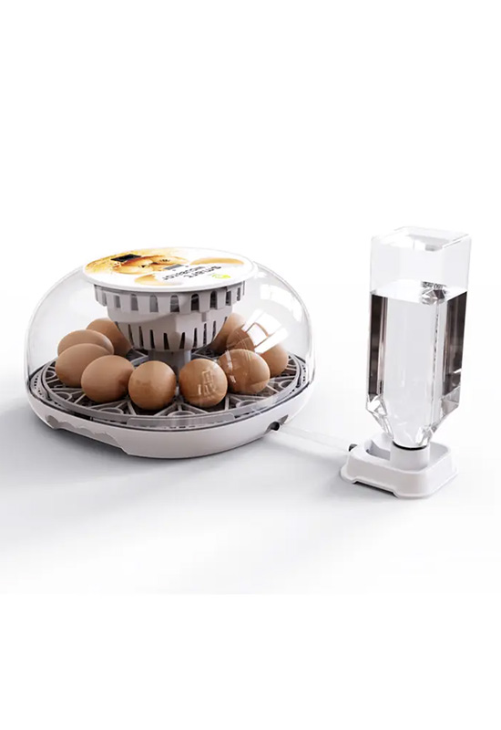 Manufacturers Supply Fully Automatic Control Chick Eggs Incubator