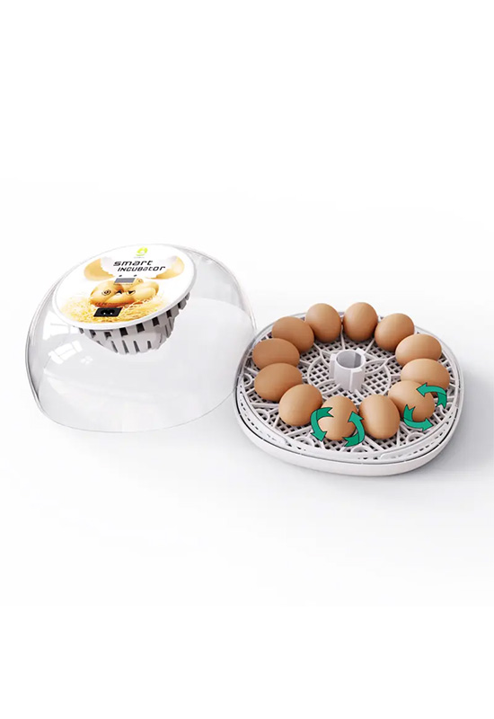 Manufacturers Supply Fully Automatic Control Chick Eggs Incubator