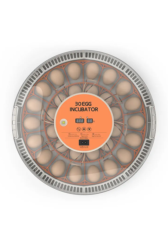 Mini 30 Automatic Incubator For Hatching Quail Eggs