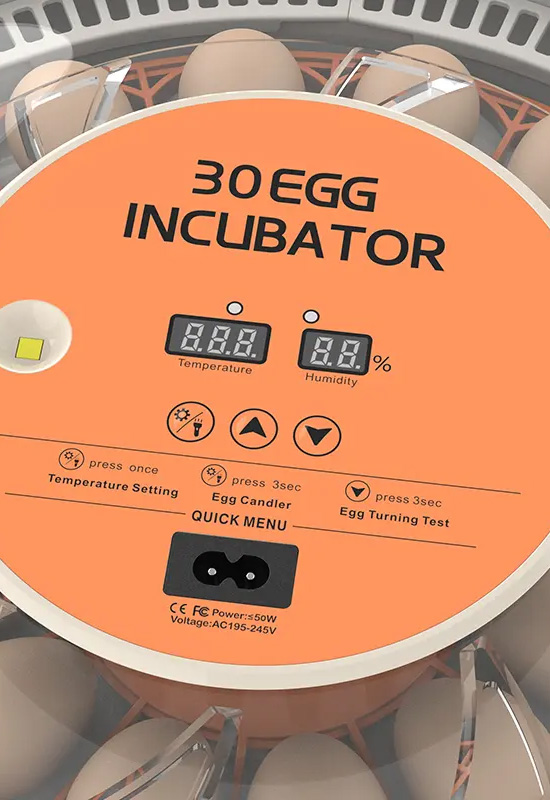 Mini 30 Automatic Incubator For Hatching Quail Eggs
