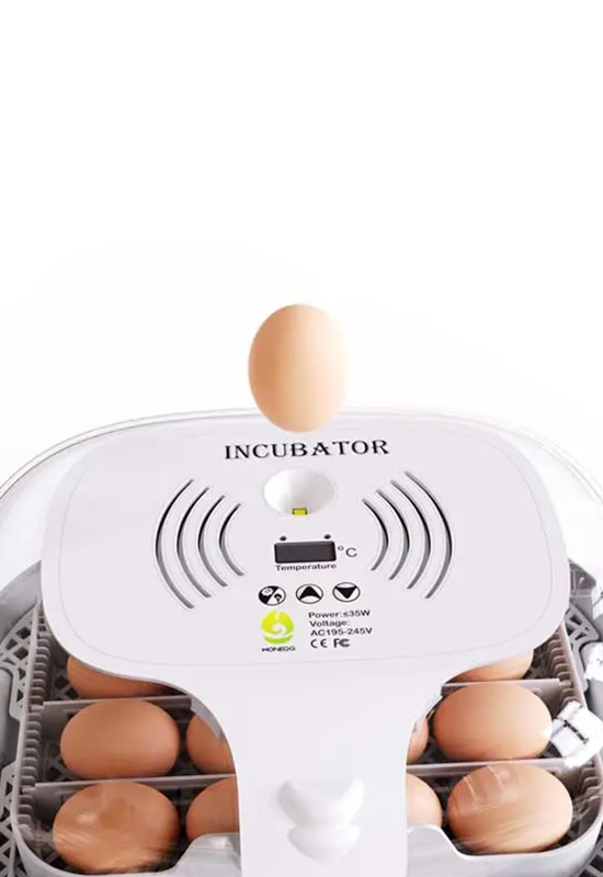 Quail Duck Chicken Manufacturers Automatic Egg Incubator