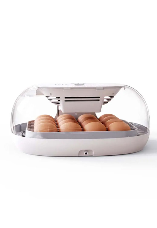 Quail Duck Chicken Manufacturers Automatic Egg Incubator
