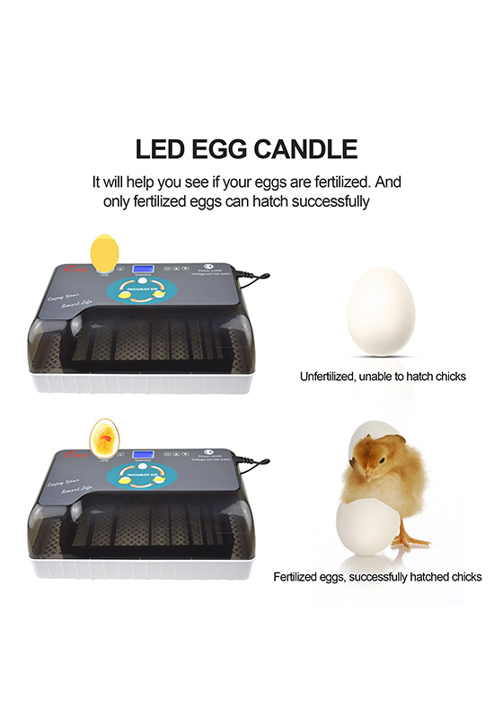 Smart Egg Incubator Clear View