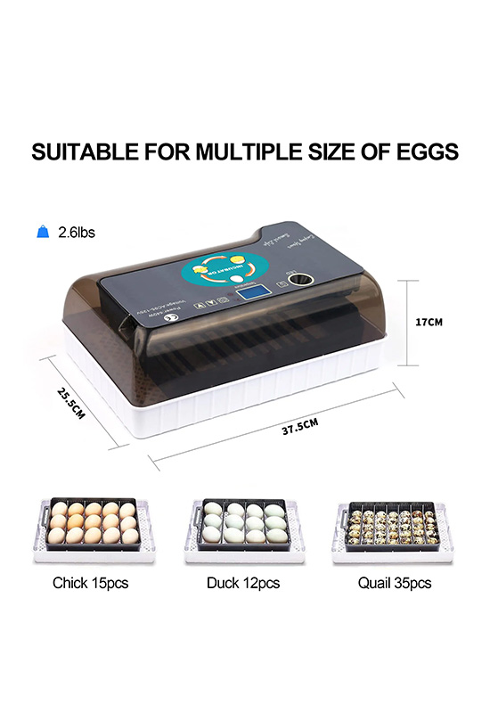 Smart Egg Incubator Clear View